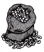 Ink drawing of a sack of beans