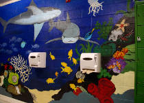 Wall mural for boys' bathroom