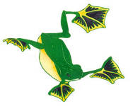 Vinyl print of a flying frog