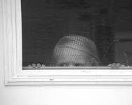 Black and white photo of an angry girl peeking through a screen